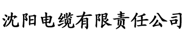 流垠老师陈天明电缆厂logo